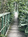 IMG_7032