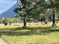 IMG_7088