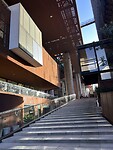 IMG_0459