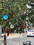 IMG_7307