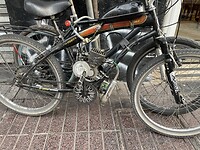 IMG_7317