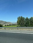 IMG_0503