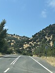 IMG_0524