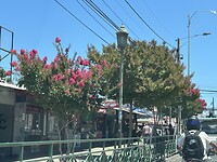 IMG_0530