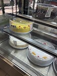 IMG_0533