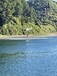IMG_7383