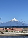 IMG_7379