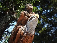 IMG_7374