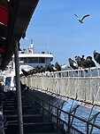 IMG_7366