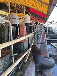 IMG_7365
