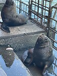 IMG_7364