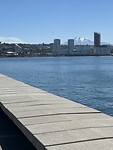 IMG_0588