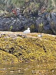 IMG_7615