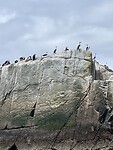 IMG_7626