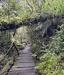 IMG_7649