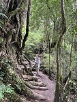 IMG_7648