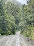 IMG_7701