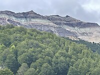 IMG_7688