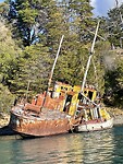 IMG_7711