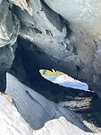 IMG_7737