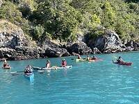 IMG_7739