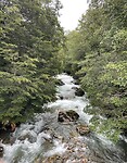 IMG_7790