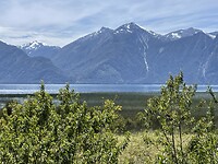 IMG_7803