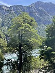 IMG_7805