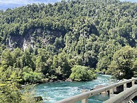 IMG_7807