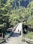 IMG_7806