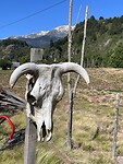 IMG_7816
