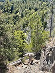 IMG_7822