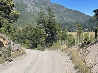 IMG_7823