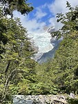IMG_7833