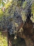 IMG_7837