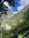 IMG_7838