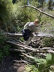 IMG_7847