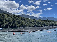 IMG_7884