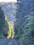 IMG_7877