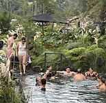 IMG_1223