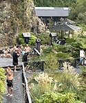 IMG_1228