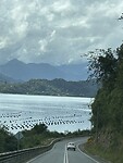 IMG_1236
