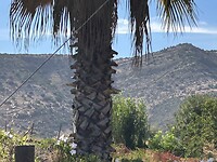 IMG_1254