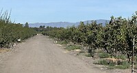 IMG_1257