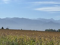 IMG_1258