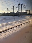 IMG_8749