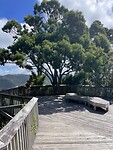IMG_8755