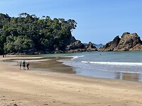 IMG_8760