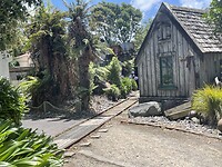 IMG_8817