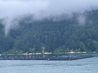 IMG_8845